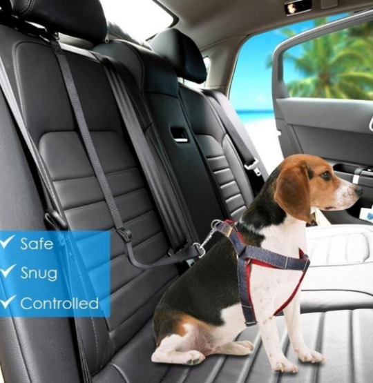 Dog Seat Belt - DropshipBob